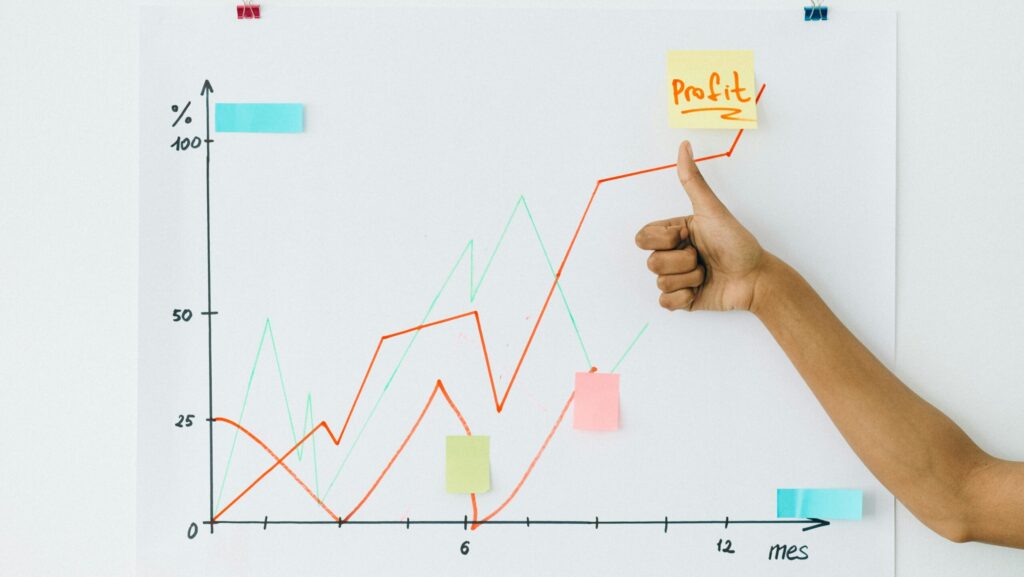 On-Page SEO Services Increased Organic Traffic - Rank Ryan